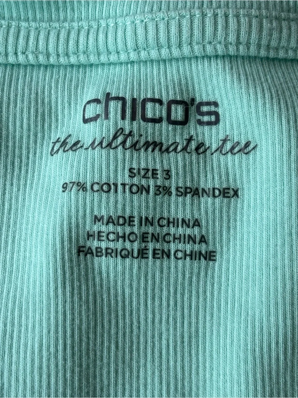 Chico’s Size XL Green Embroidered Sheer Blouse & Tank 2 Piece Set